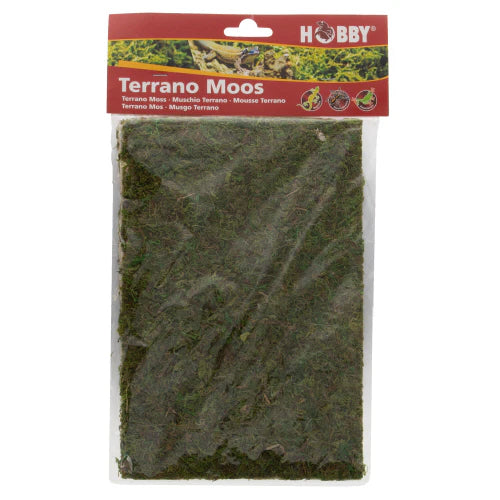 Dupla Terrano Moss - Natural Moss on Fleece