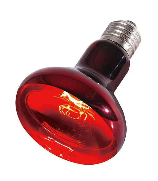 ReptiZoo Infrared Heat Lamp