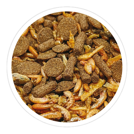 Reptile Systems Turtle Mix