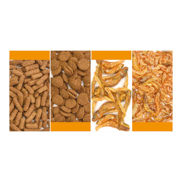 Reptile Systems Turtle Mix