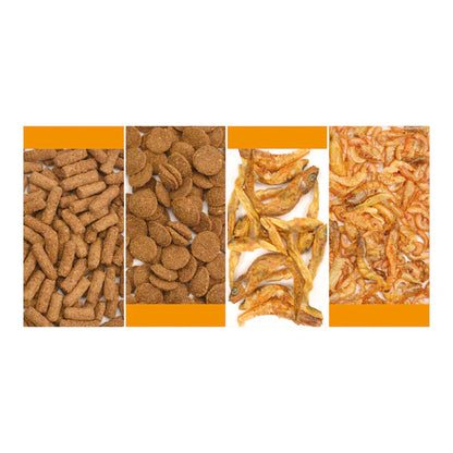 Reptile Systems Turtle Mix
